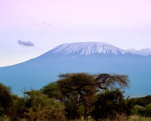 Snow on top of Mountain Kilimanjaro in Amboseli